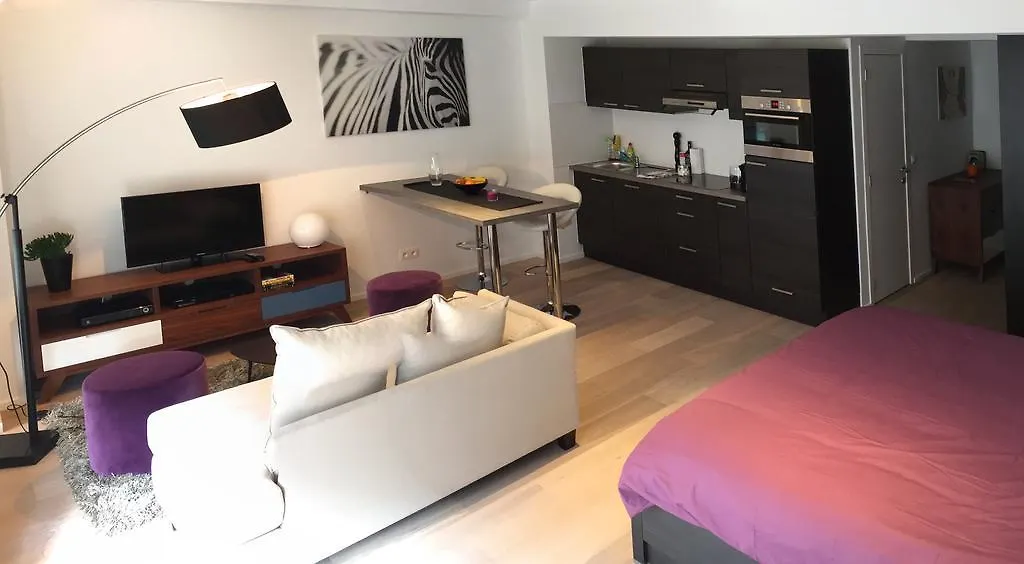 Flat Moliere Apartment Brussels Belgium